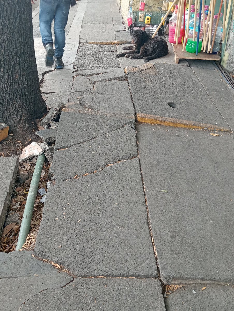 Ruben Rebollo tweet media