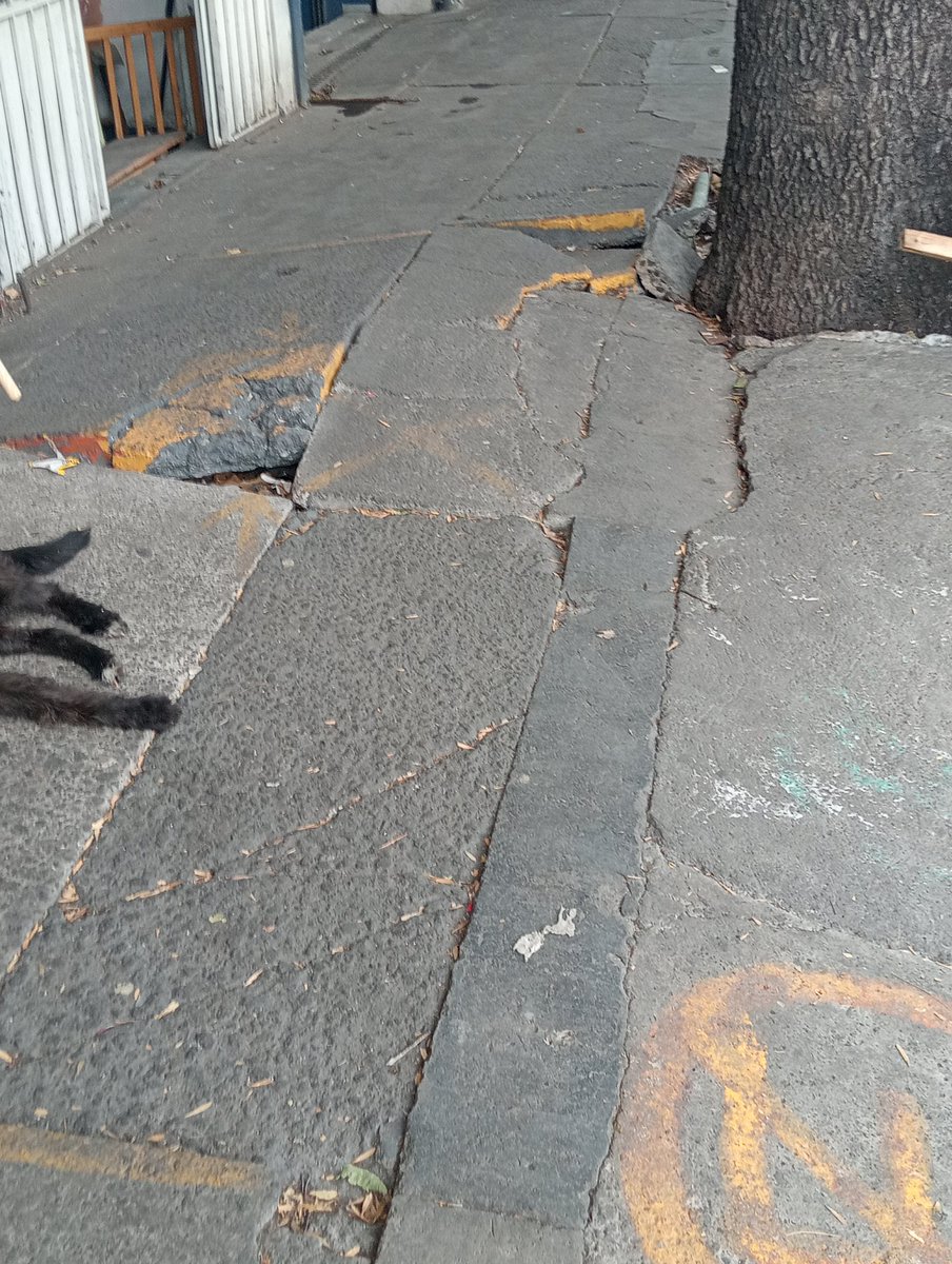 Ruben Rebollo tweet media