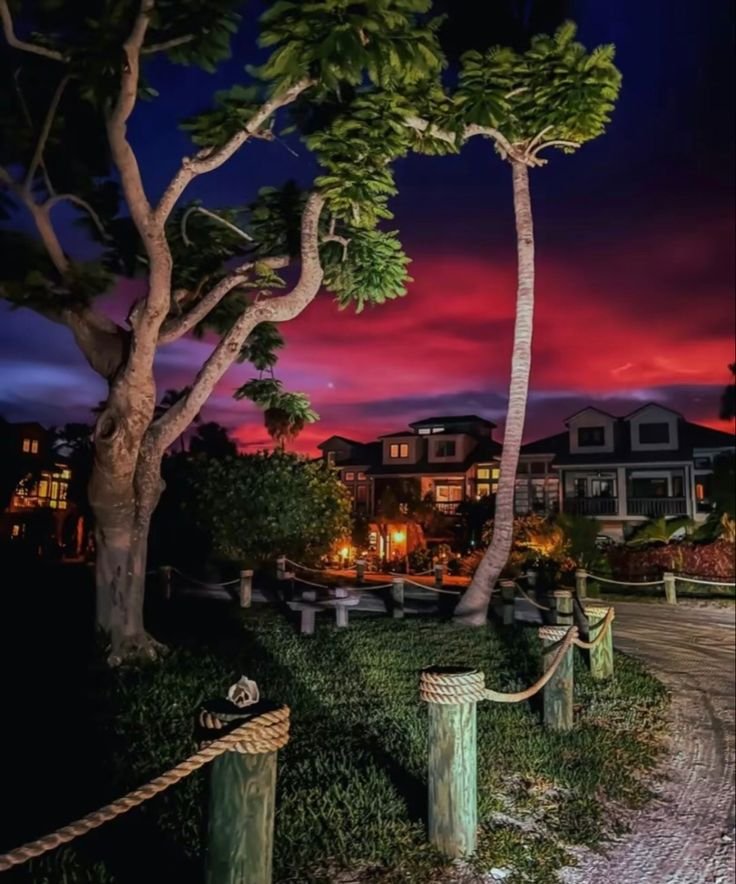 NatureBeautyVb's tweet image. Leave a song in the comments for this magical night