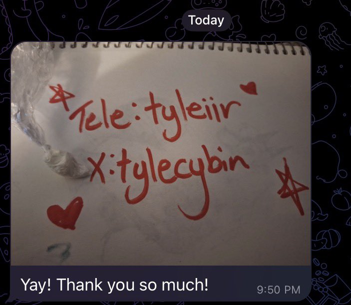 tyleir タイラー tweet media