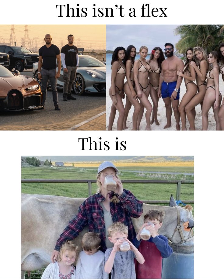 Carnivore Aurelius ©🥩 ☀️🦙 tweet media