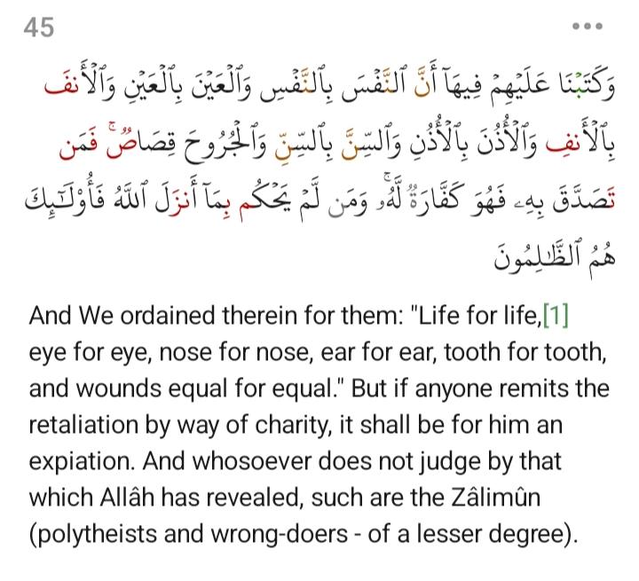 Spongebob 🇬🇲 🇮🇷 🇾🇪 tweet media