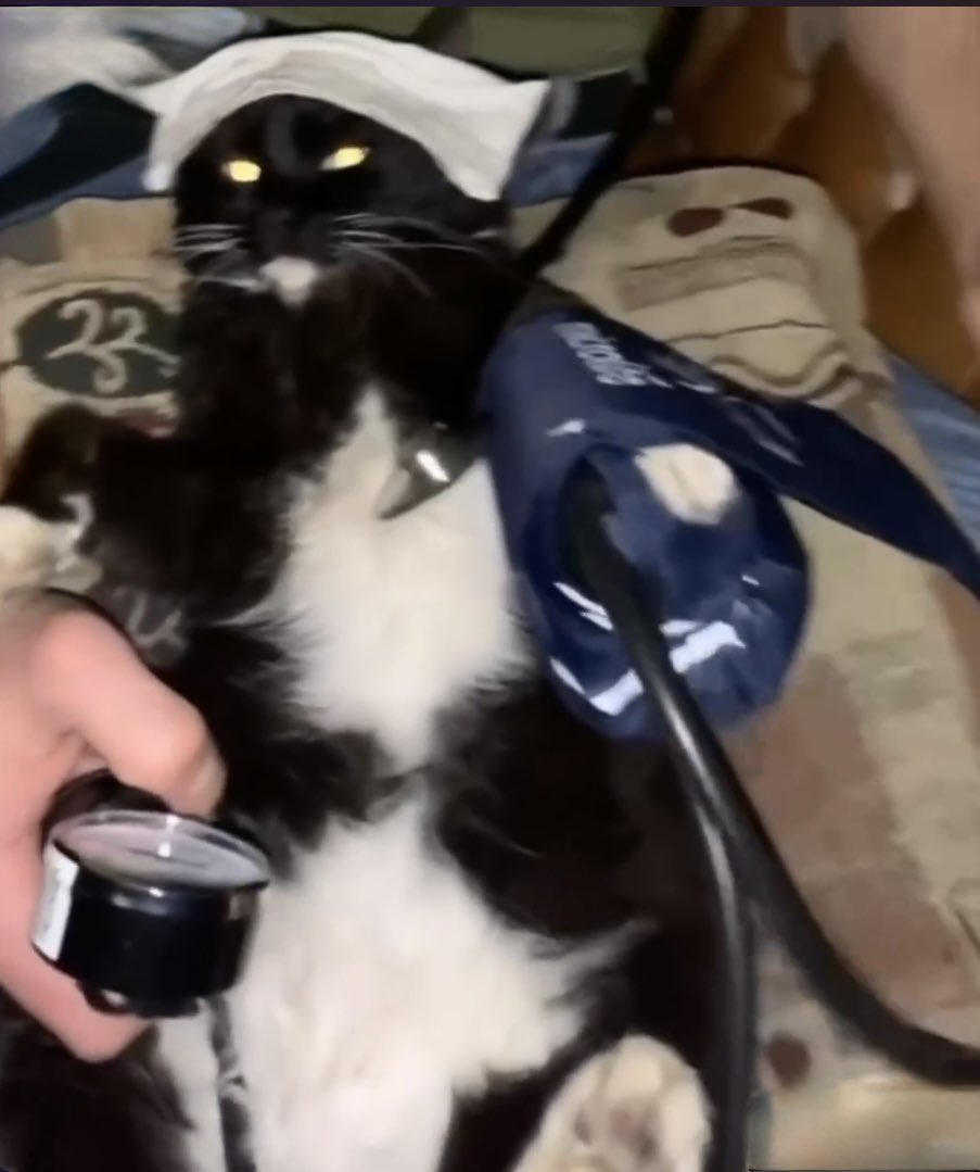 Іра🇺🇦 tweet media