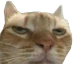 Rhydon Daddy tweet media