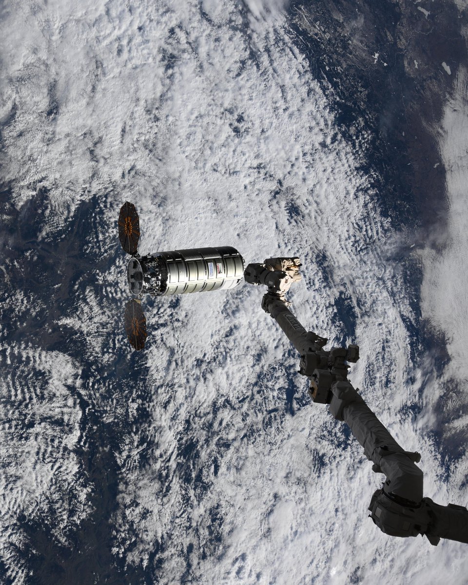 Adenot Sophie tweet media