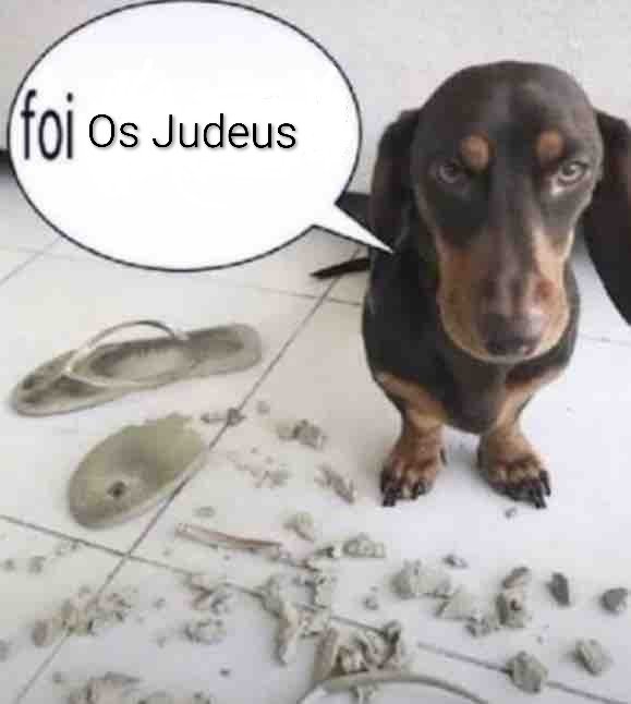 O desinformante tweet media