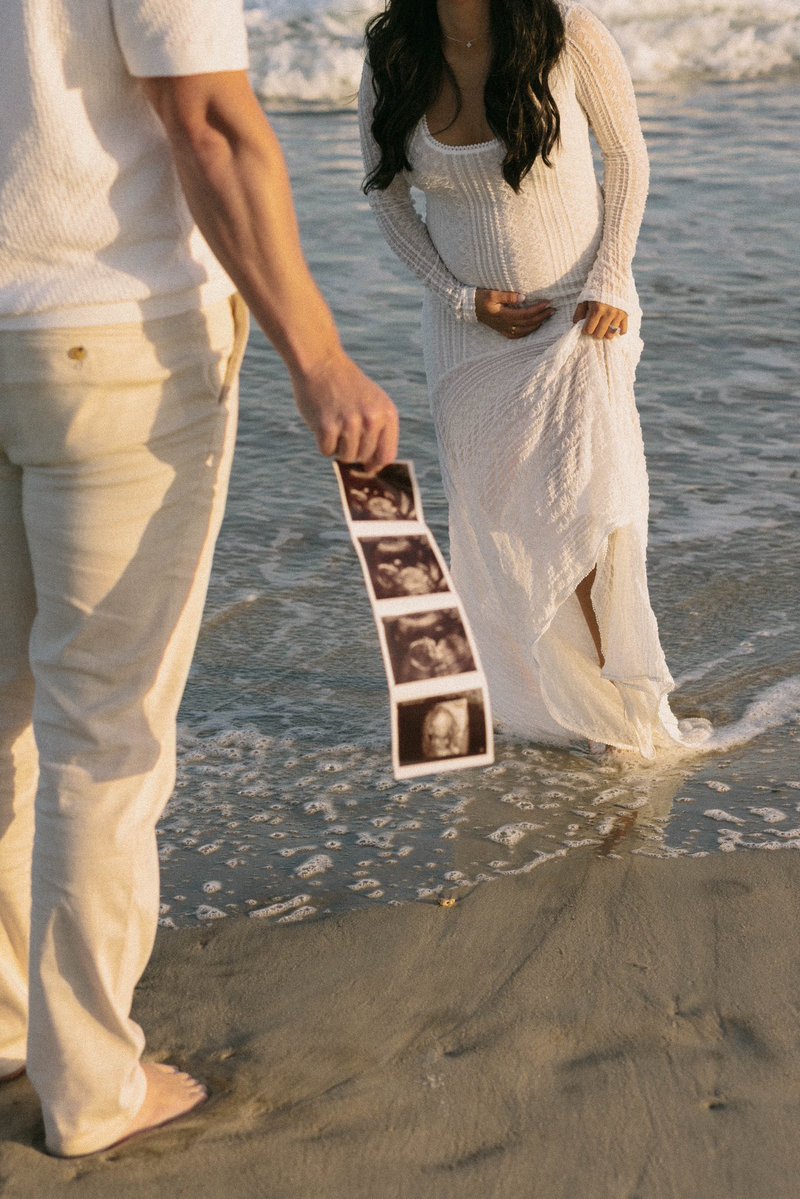 PJ Trades tweet media