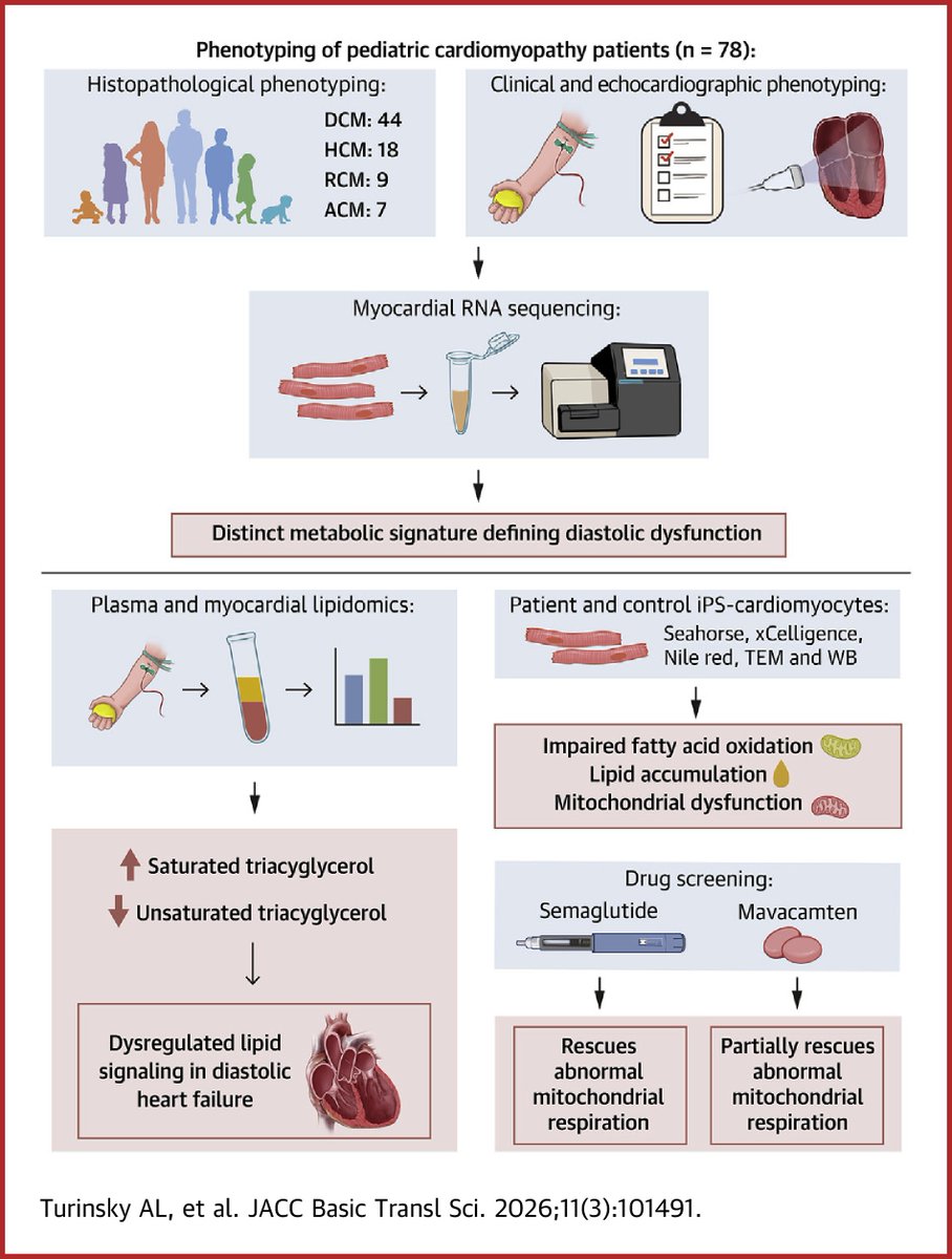 JACCJournals's tweet image. Check out this month’s #JACCBTS article from Dr. @seema_mital et al to see how diastolic dysfunction is associated with abnormal lipid metabolic signatures across different causes of pediatric cardiomyopathy. jacc.org/doi/10.1016/j.… #cvPed #cvLipis