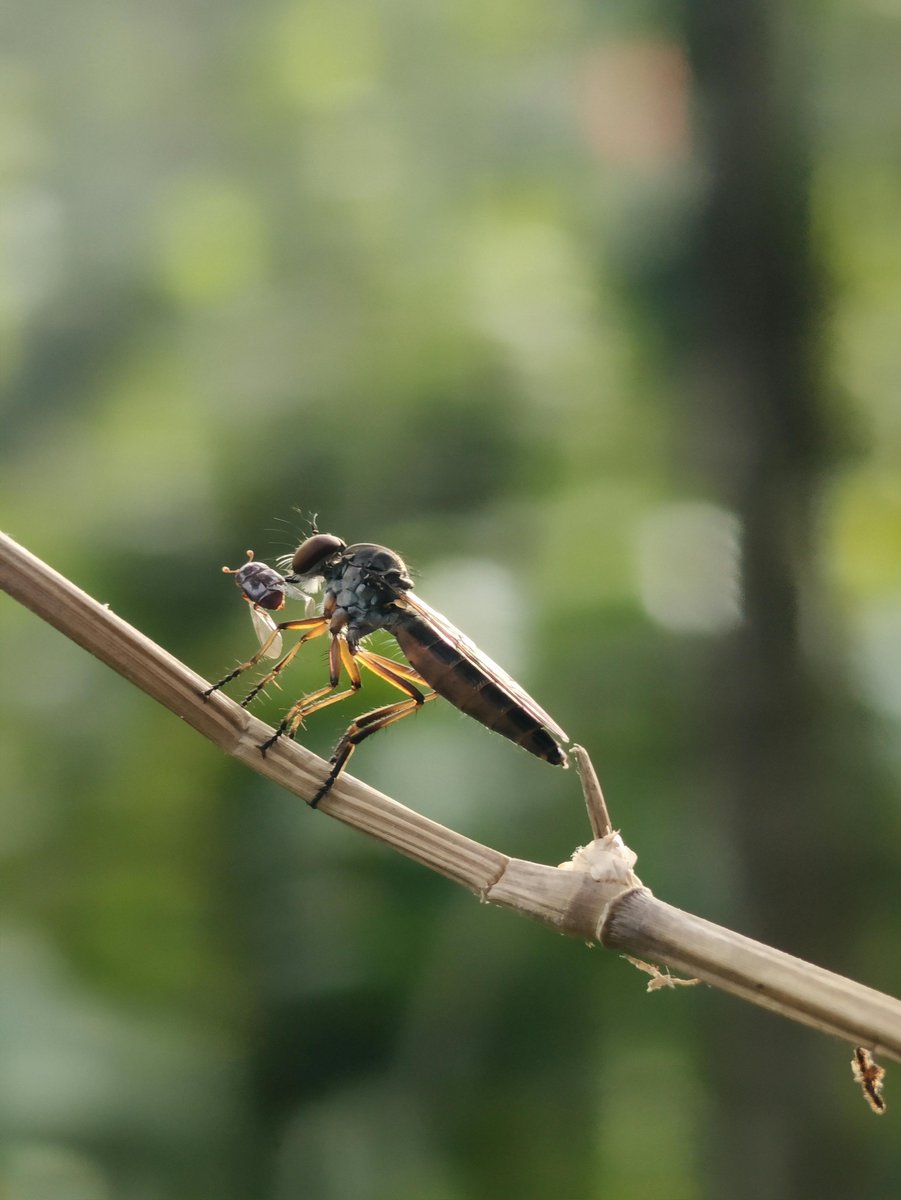 jm nacional tweet media