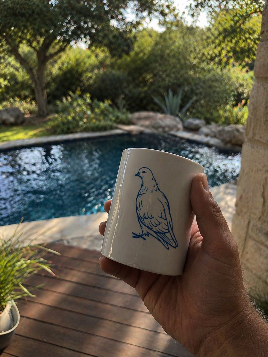 level941's tweet image. Cheers pigeon 🫳🏻