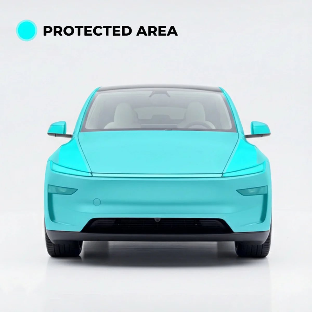 Bearded Tesla tweet media