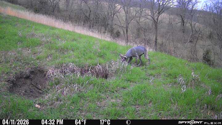 Jay Stover tweet media