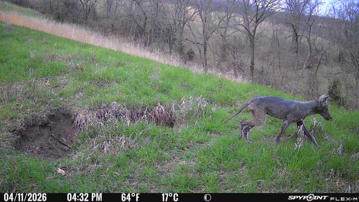 Jay Stover tweet media