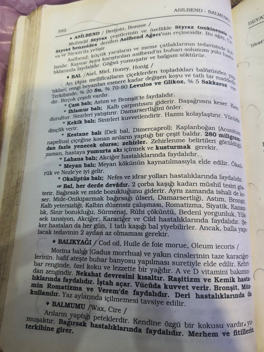 Birtat Baharat Rize tweet media