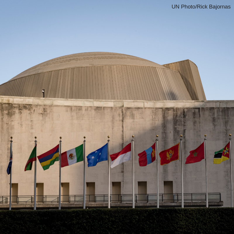 UN Library tweet media