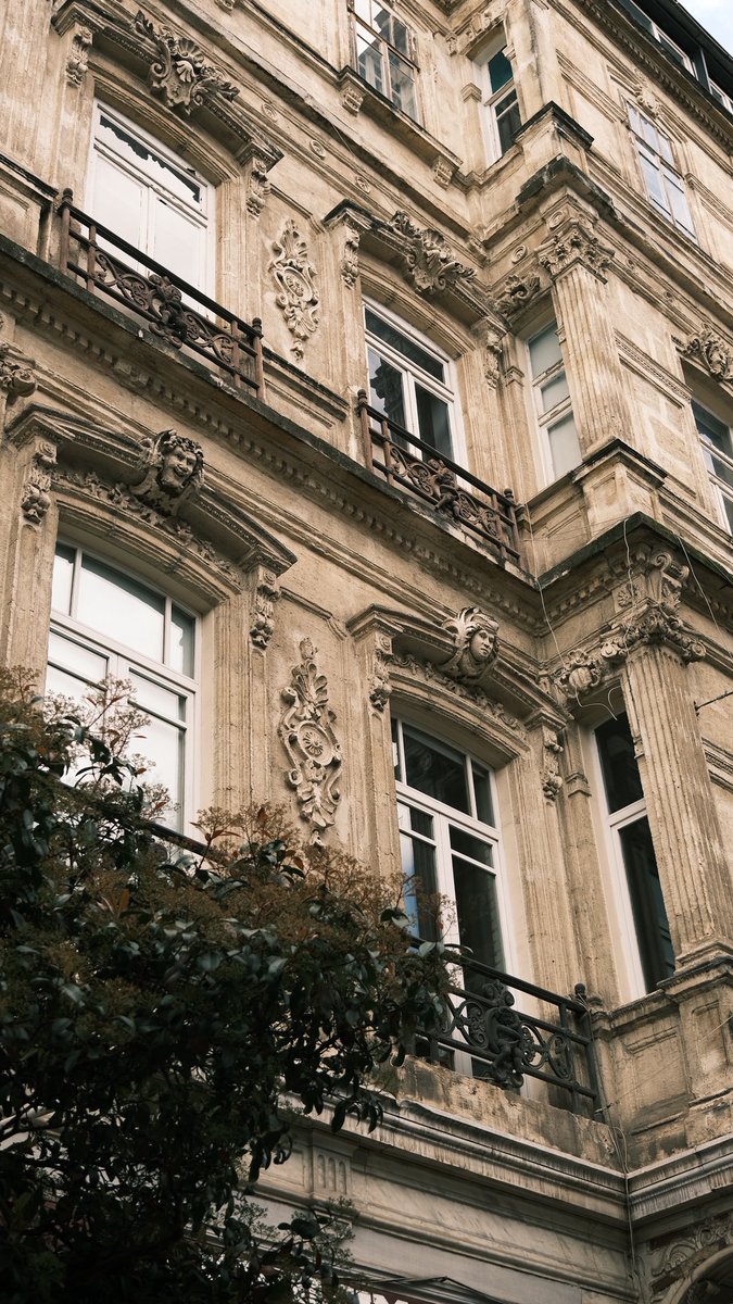 Rahime Gül tweet media