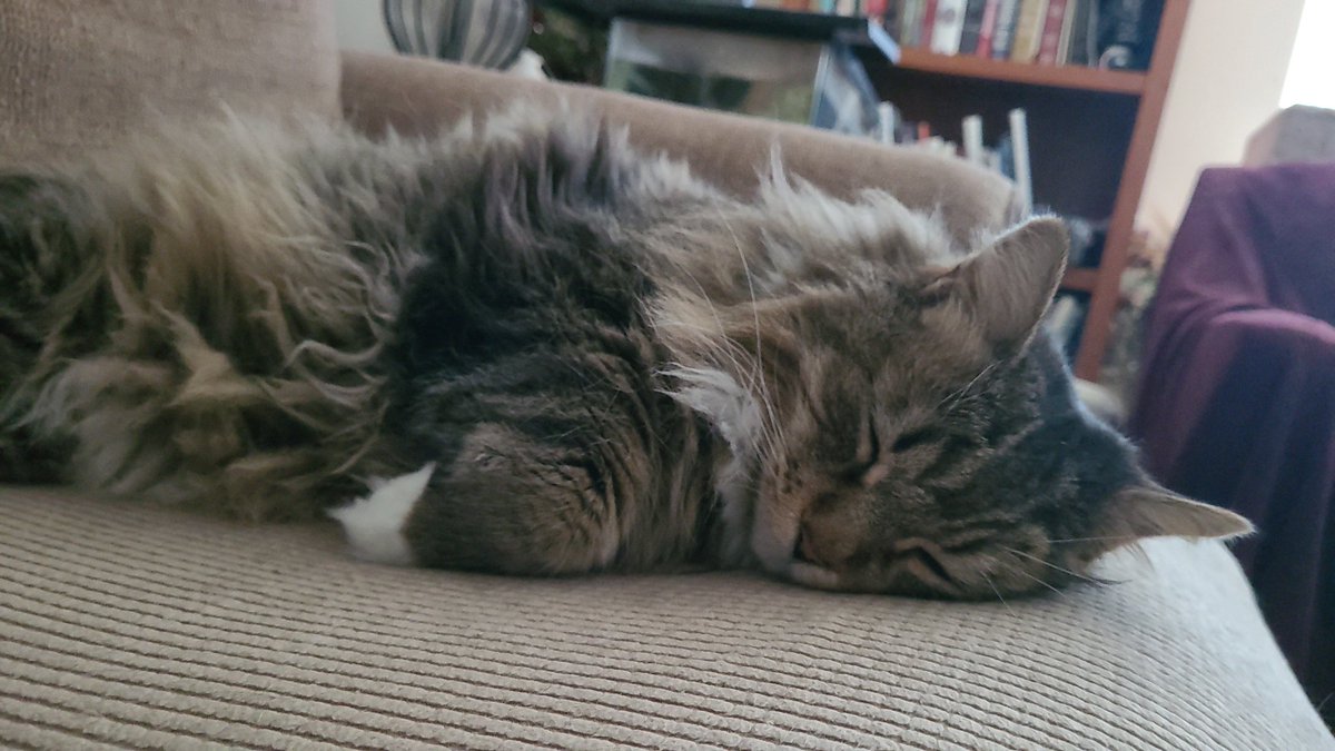 MysticGamer 🎮 tweet media