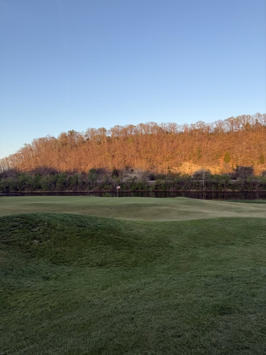 Tappy Gilmore tweet media