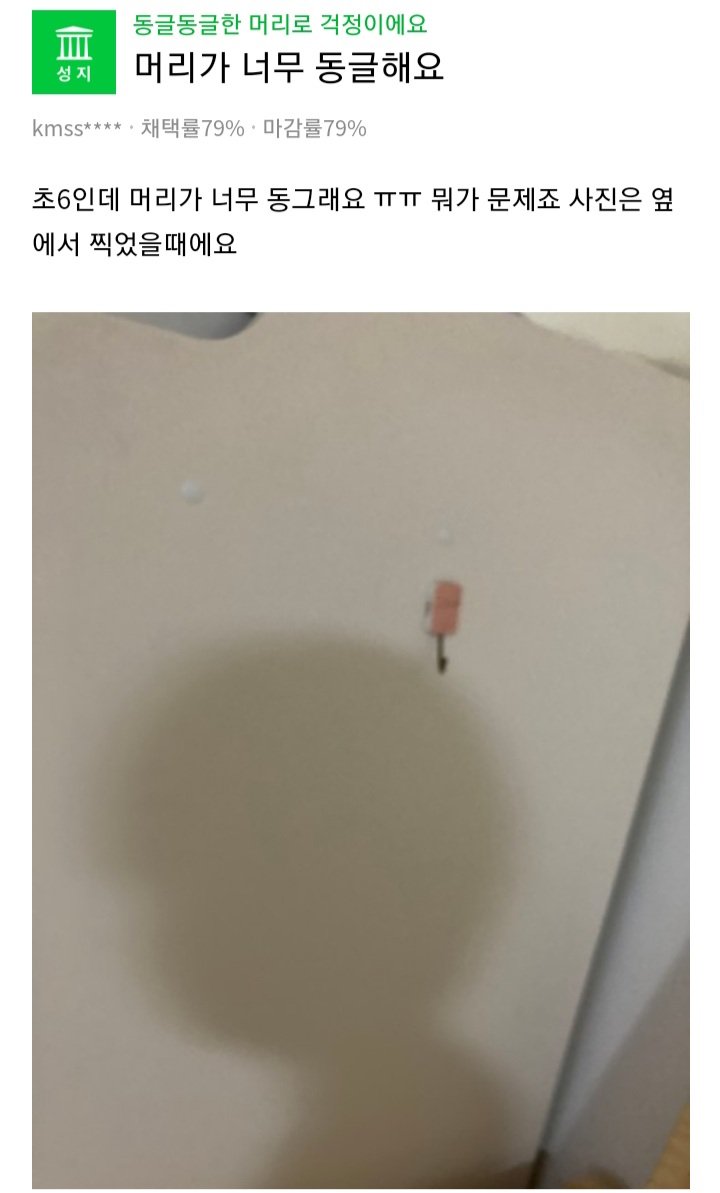 햄십구만햄천원 tweet media