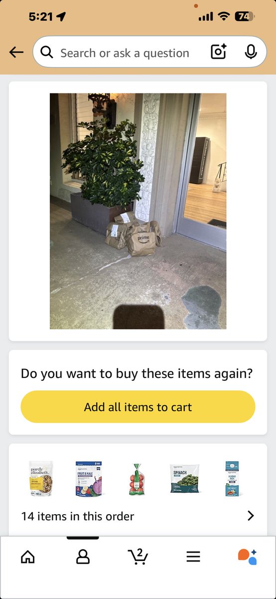 madisonbatts's tweet image. This is my second and last order from #AmazonFresh. Both times my food has been left outside on the ground!!!!! #Lazy