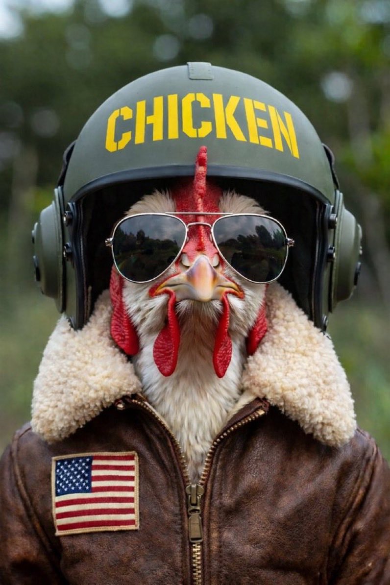 Adrian Corrales tweet media