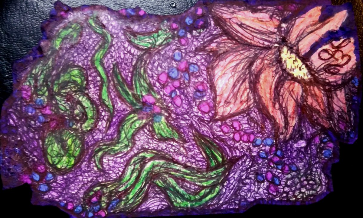 TigersMageDen's tweet photo. This piece bloomed on the reverse side of another drawing~
Starling, not everything needs a perfect start; some things #grow in the margins & still become #beautiful
What awaits you on the other side of your canvas?
#art #mixedmedia #creativeprocess #intuitiveart #flowerart https://t.co/TYZHV1FsAr