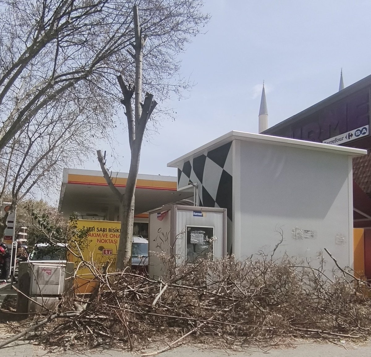 Sonbaharda budaması yapılması gereken ağaçlar, İlkbaharda budanması yanlış. Sıcak havalarda bize verdiği gölge sayesinde, altında serinlerdik. Şimdi imkansız😏!! #KadıköyBelediyesi