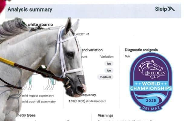 Horse Racing Nation tweet media