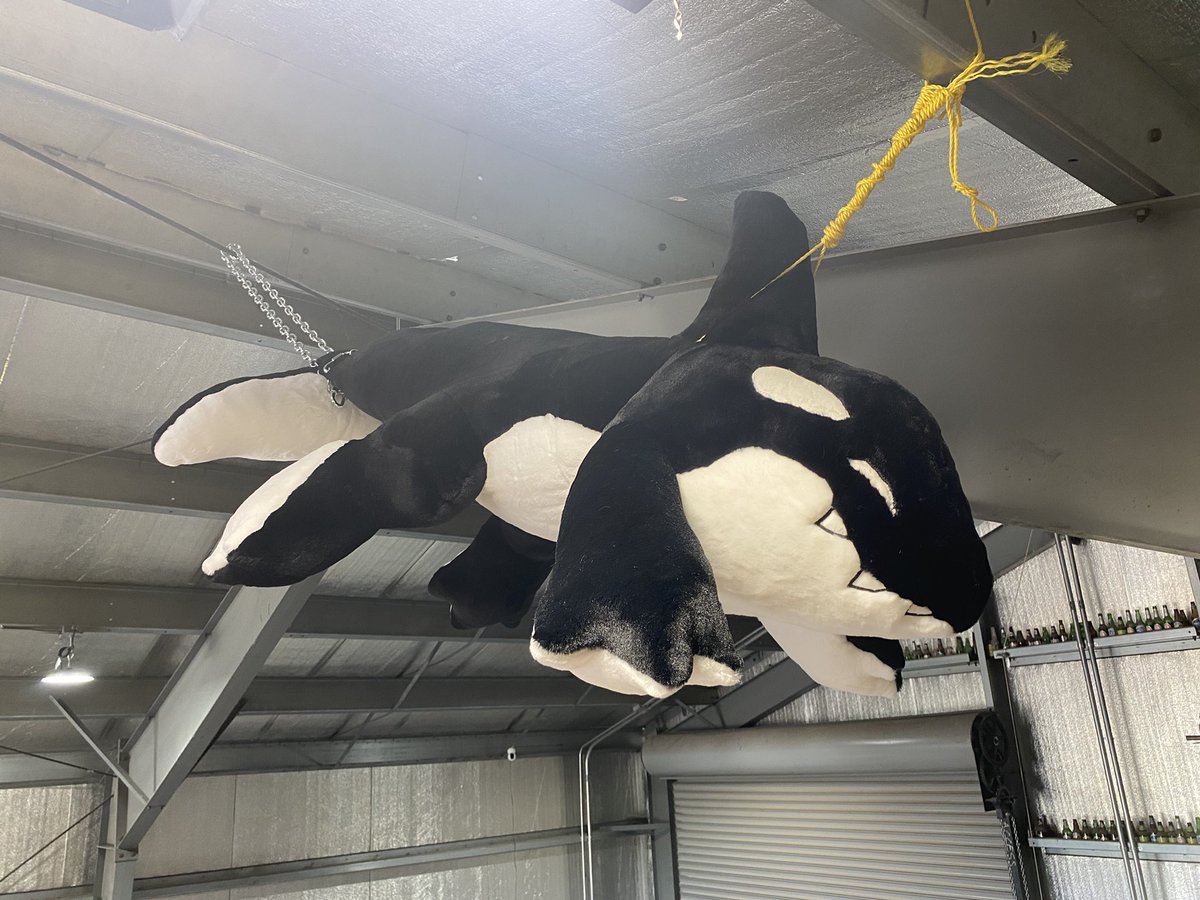 CreepnCat's tweet photo. I come out to the workshop today to a suspension demo.. https://t.co/iieJrMG9ub