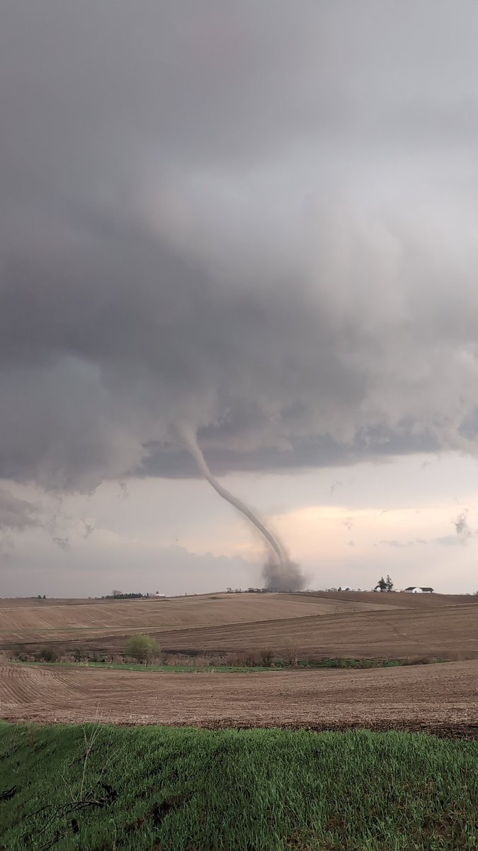 Jesse Risley tweet media