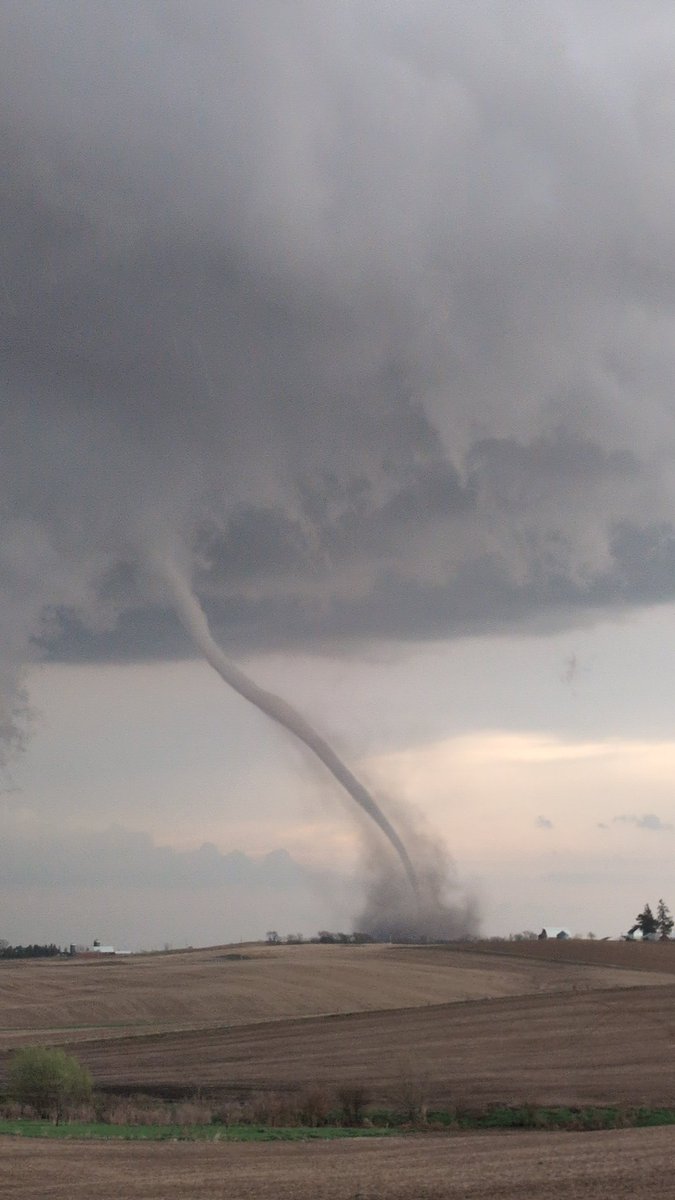 Jesse Risley tweet media