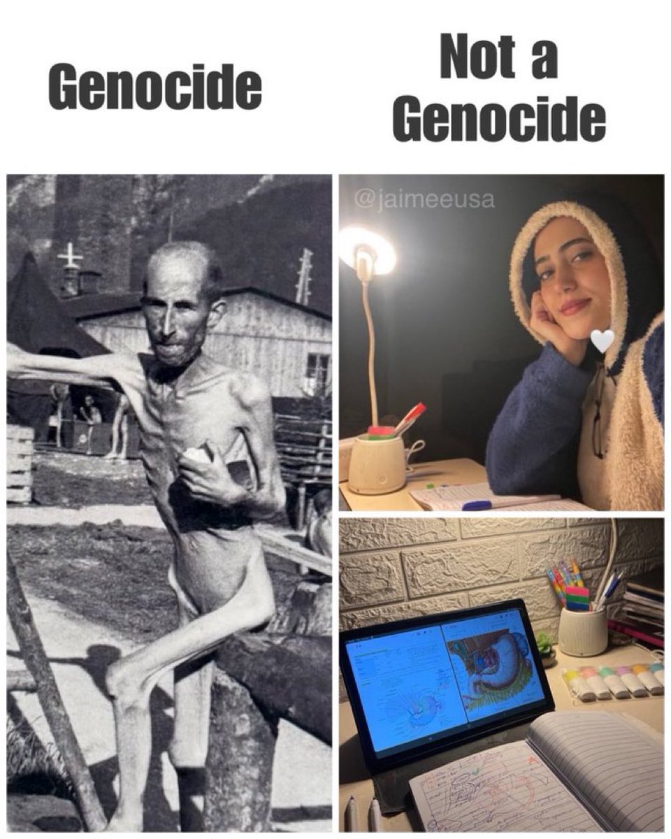 نور التوراة tweet media