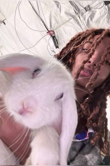 cheguevarapack1 ☭ tweet media