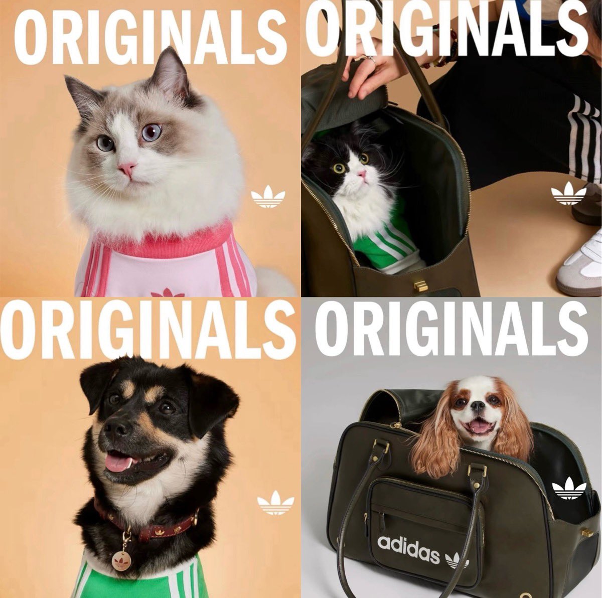 早期完売注意】adidas Originals ペットコレクションが国内4月15日（水