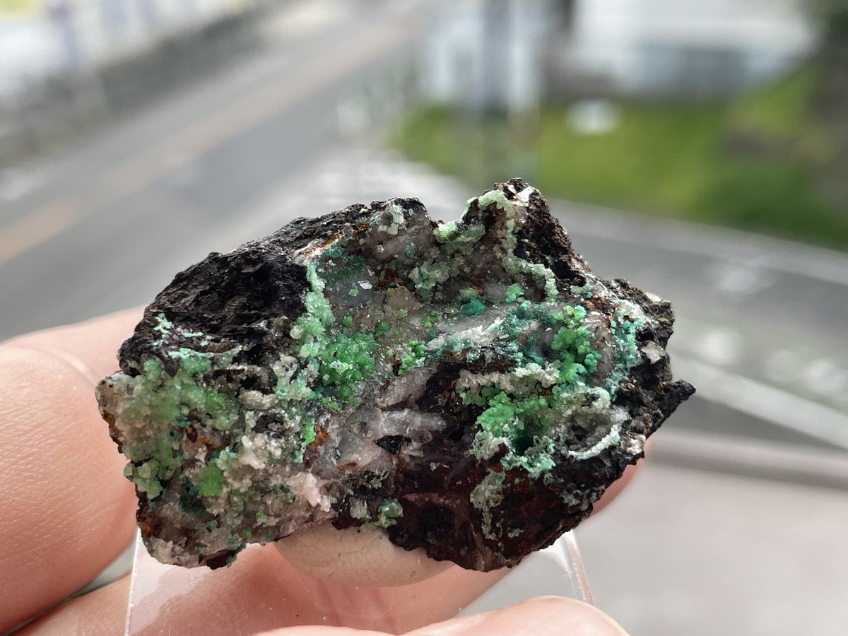 鉱物,原石American Minerals-アメリカンミネラルズ tweet media