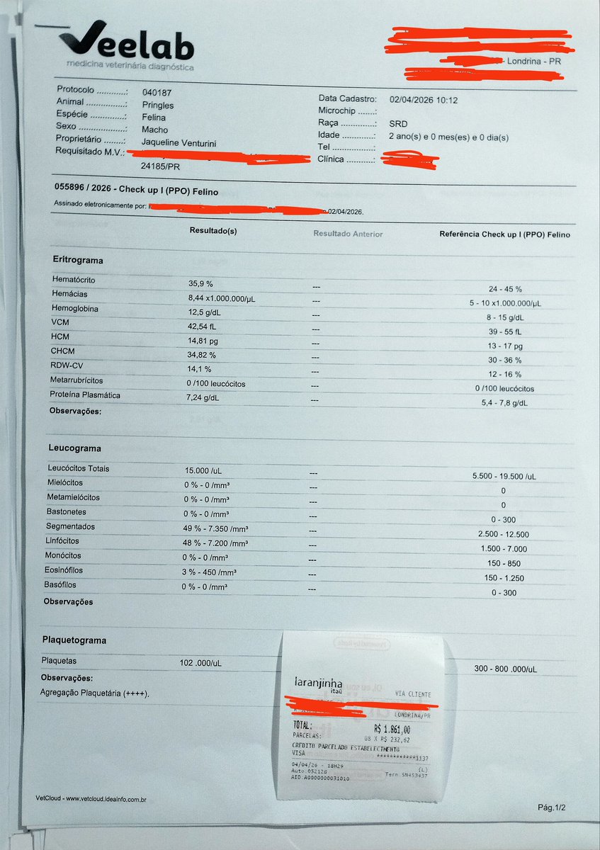 Belldam/Bella 🥀 tweet media