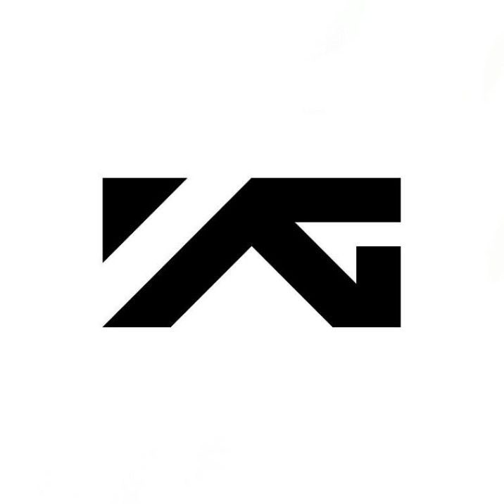 YG GIRL BRASIL tweet media