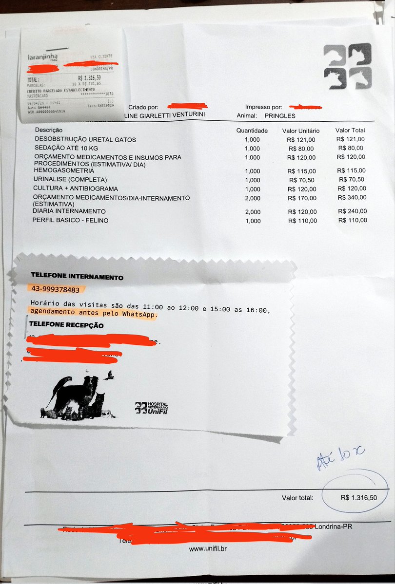 Belldam/Bella 🥀 tweet media