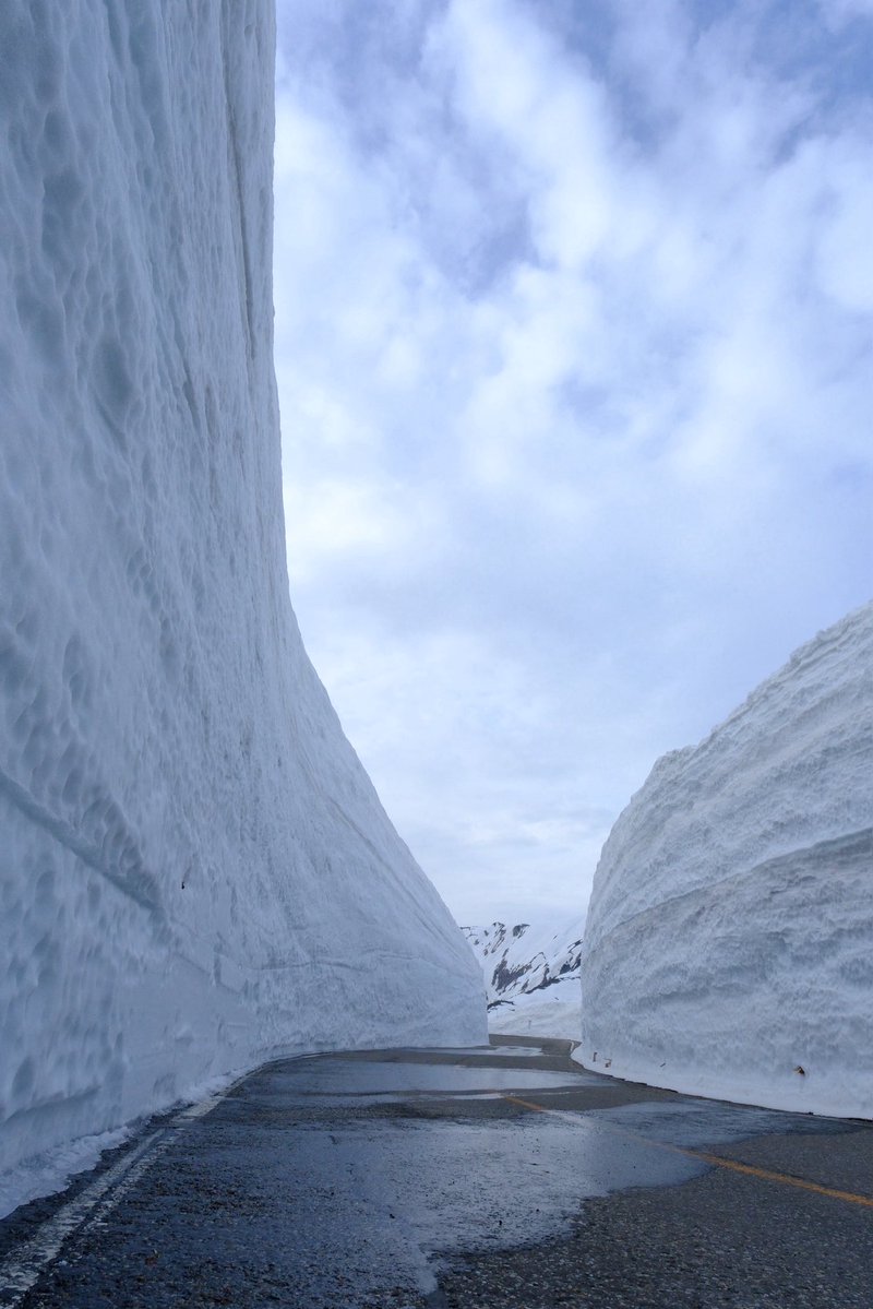 【公式】立山黒部アルペンルート tweet media