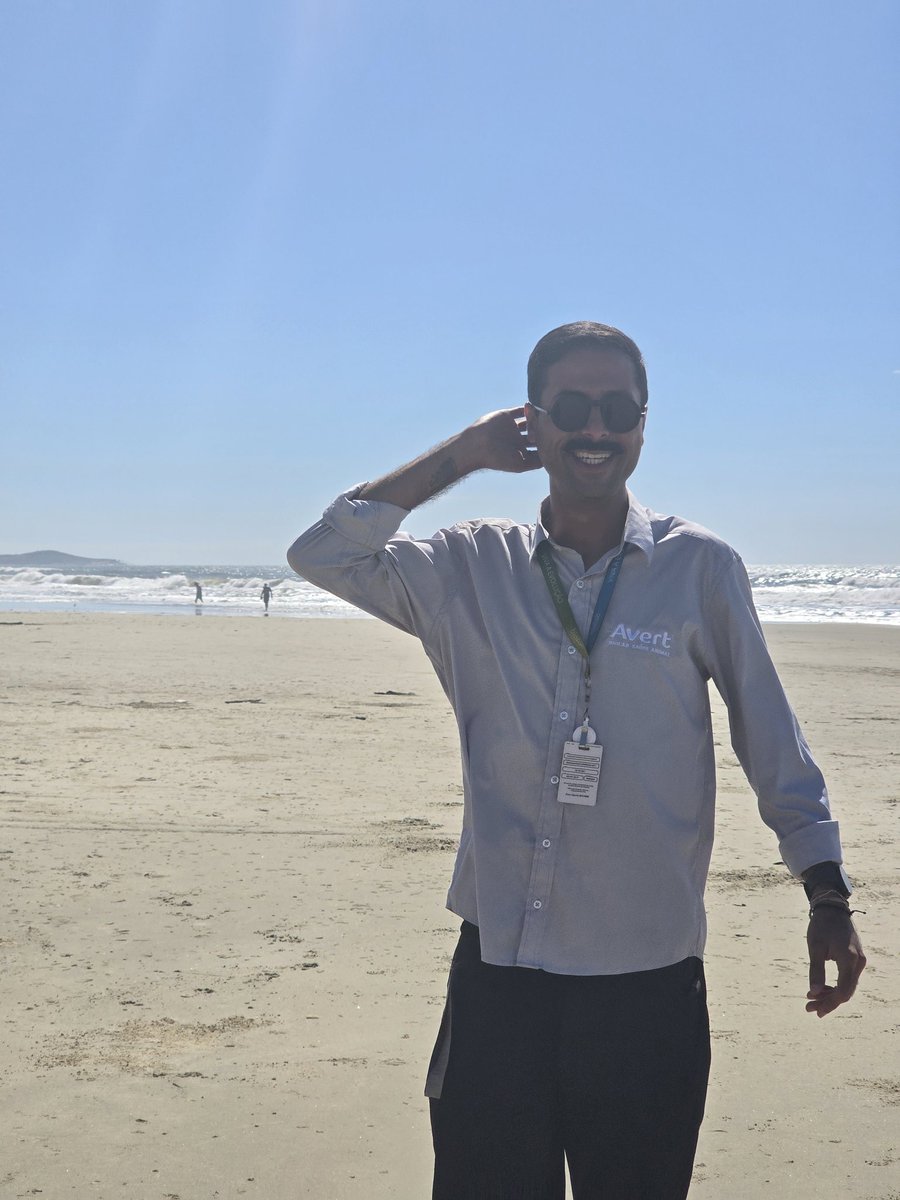 wtfBitt's tweet image. O tipo de pausa pro cigs que eu amo