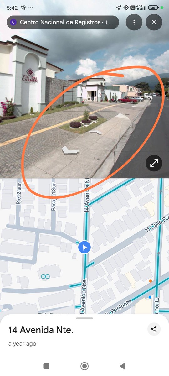 Jackajc's tweet photo. Alguien sabe si pueden prohibir a un perrito a orinar en las plantitas al lado de la acera? Es que en Villa del Carmen de Santa Tecla, los vigilantes llegan, te regañan y te corretean. Consulto por ser la acera (imagen de referencia, ya tienen otras plantitas) @SantaTeclaSV https://t.co/8VrX8KedPI