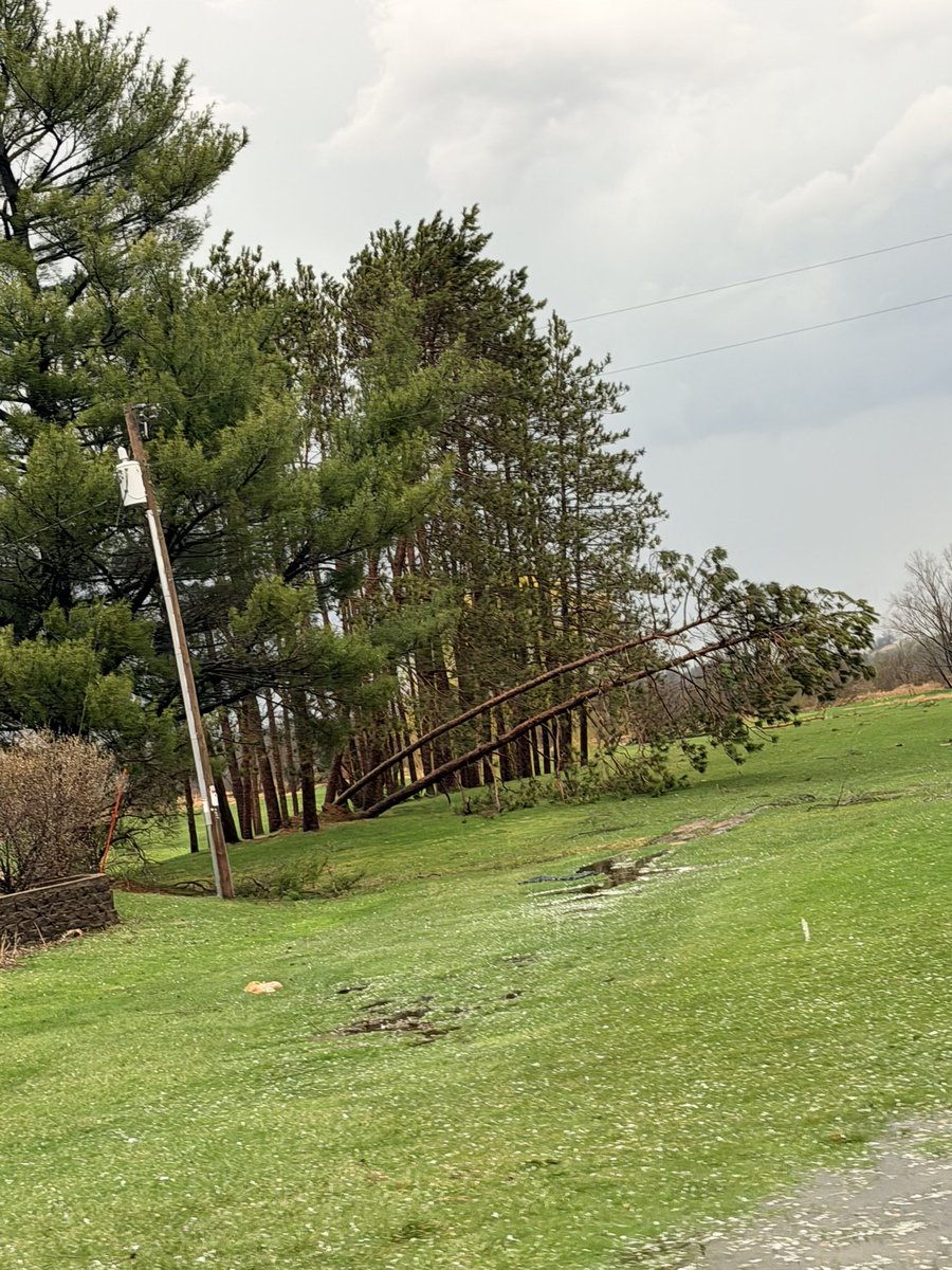 Nick Stekel tweet media