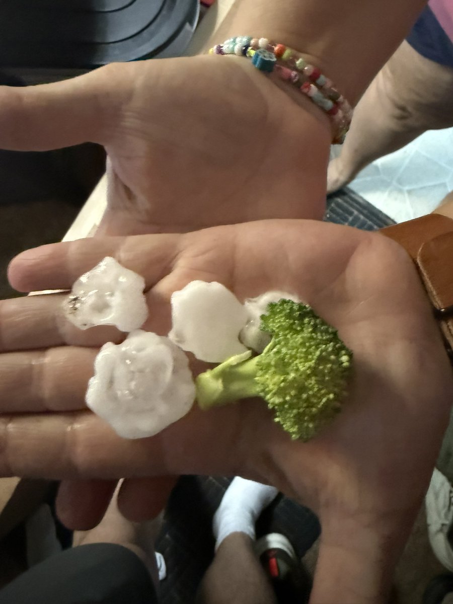 Nick Stekel tweet media