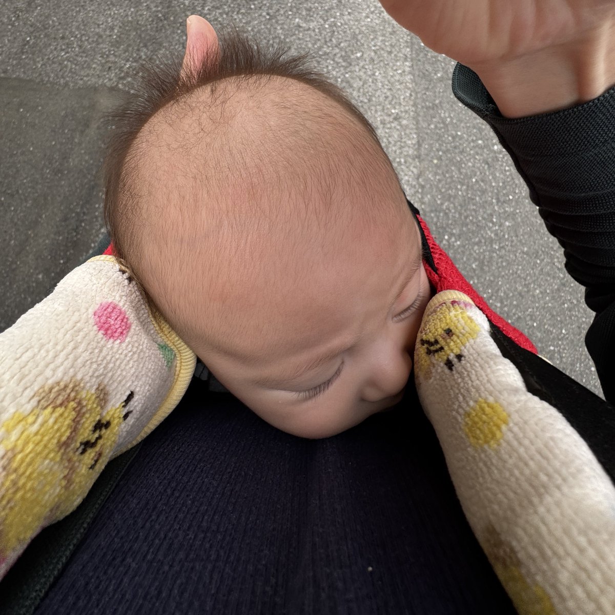 小篠和弥 こしのかずや kazo。👓🫰 tweet media