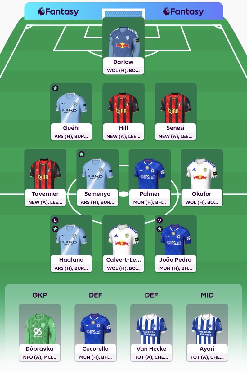 FPL_Dragon tweet media