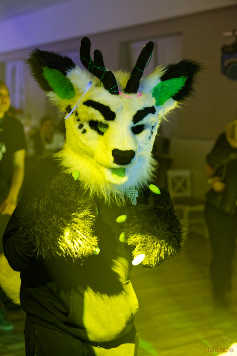 Lime Dev tweet media