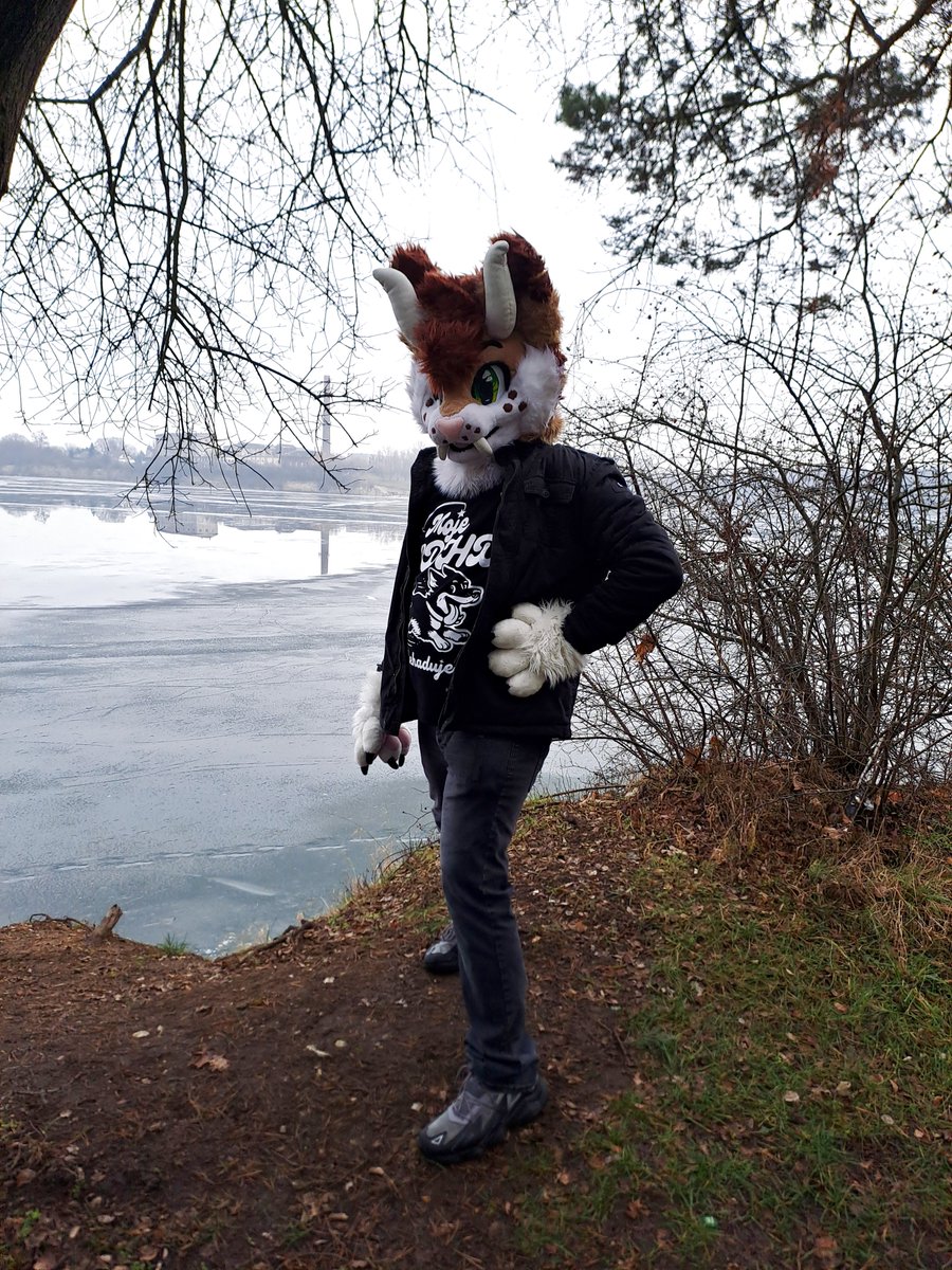 Concrete_Meat's tweet photo. Hope y'all are having a good day! 
#FursuitFriday  

📸 @MazzzPL https://t.co/isattGOUs9