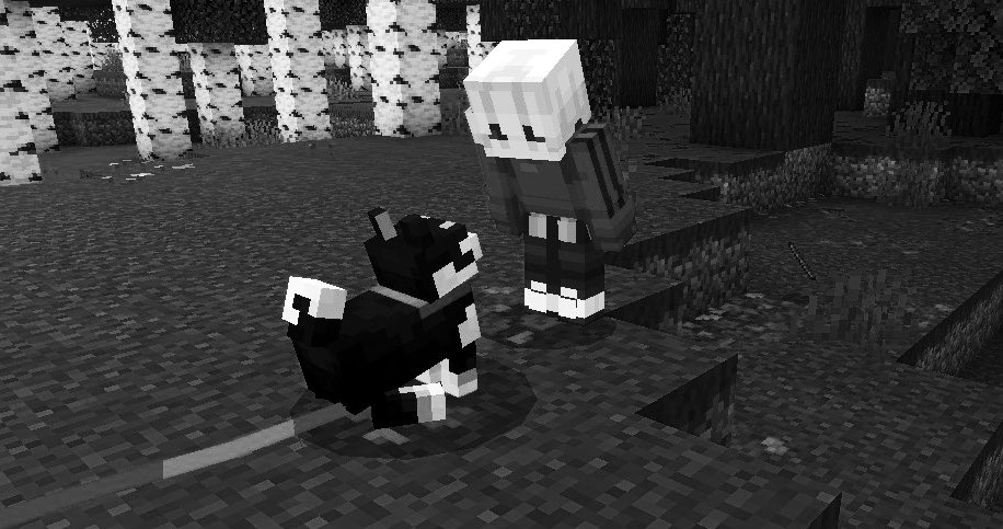 もみじ🐶🍁 tweet media