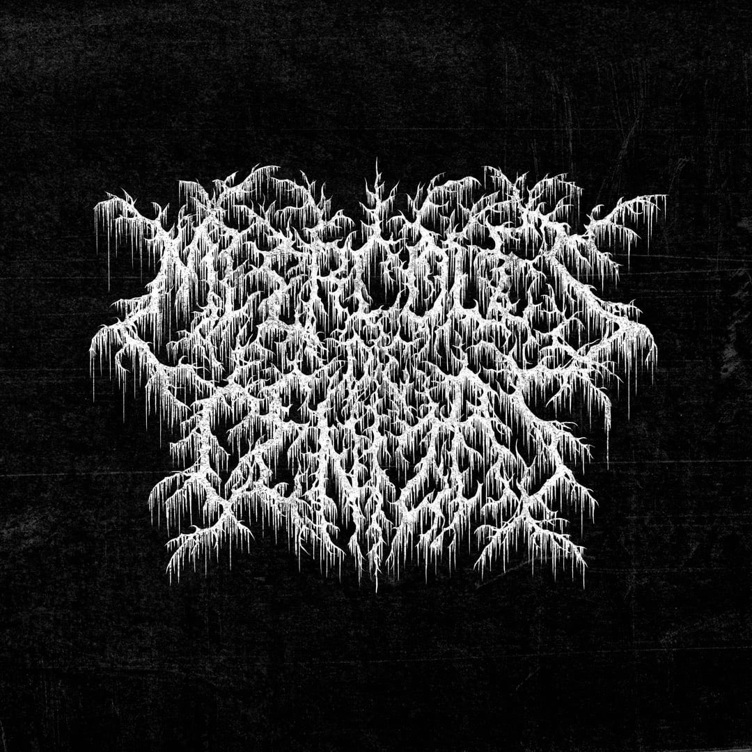 𝔈𝔠𝔩𝔦𝔭𝔰𝔢 tweet media