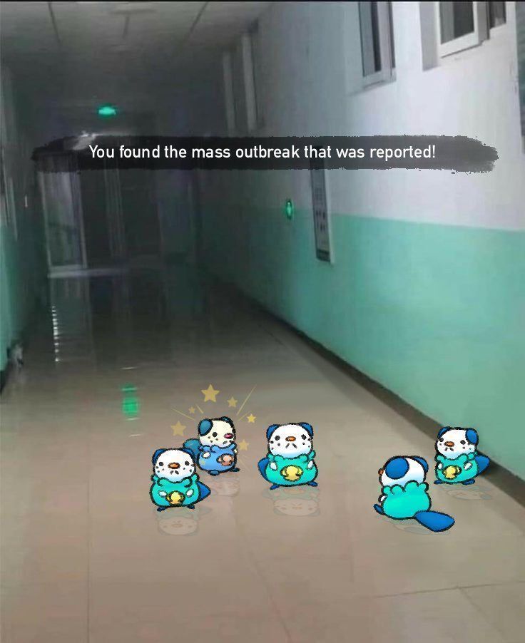 Pokémon Daily tweet media